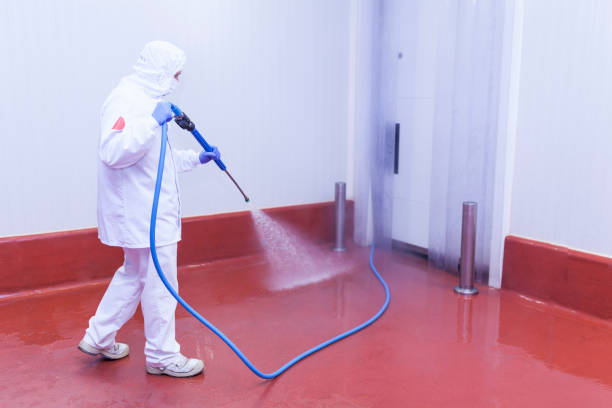 Best Pre-Holiday Cleaning  in Greenlawn, NY