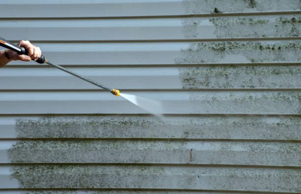 Best Fence Cleaning  in Greenlawn, NY